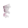 crystal-rosequartz-cluster2-north