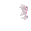 crystal-rosequartz-cluster2-south
