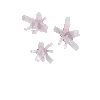 crystal-rosequartz-cluster2-west