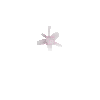 crystal-rosequartz-small3-east