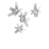 crystal-smokyquartz-cluster1-east
