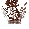 devgrowth-bush