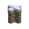 fencecoral-nesw-snow