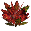 flower-croton-medium-crimson-brown-green
