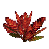 flower-croton-small-crimson-brown-green