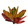 flower-croton-small-crimson-orange