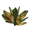 flower-croton-small-darkgreen-gold