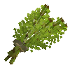 flower-horsetail-free