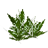 flower-lilyofthevalley-snow