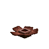 flower-rafflesia-brown