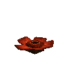 flower-rafflesia-red