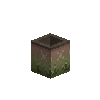 flowerpot-moss