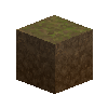 forestfloor-1