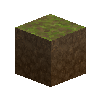 forestfloor-3