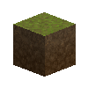 forestfloor-4