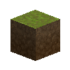 forestfloor-5