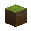 forestfloor-7