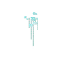 glowworms-base2-short