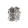 hanginglichen-oldmans-segment