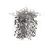 hanginglichen-oldmans-top
