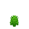 herb-mint
