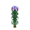 herb-saffron