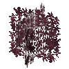 leaves-grown2-crimsonkingmaple