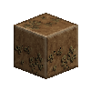 lichenrockpolished-claystone