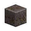 lichenrockpolished-phyllite
