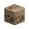 lichenrockpolished-redmarble