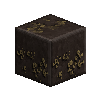 lichenrockpolished-slate