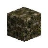 mossycobblestone-conglomerate