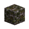 mossycobblestone-phyllite