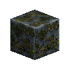 mossyrockpolished-andesite