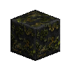 mossyrockpolished-basalt