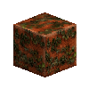 mossyrockpolished-bauxite