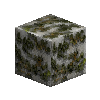mossyrockpolished-chalk