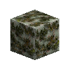 mossyrockpolished-greenmarble