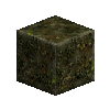 mossyrockpolished-peridotite