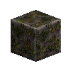 mossyrockpolished-phyllite
