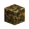 mossyrockpolished-sandstone