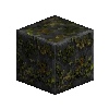 mossyrockpolished-shale