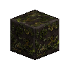 mossyrockpolished-slate
