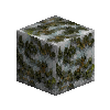 mossyrockpolished-whitemarble