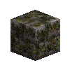 mossystonebricks-phyllite
