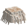 mushroom-beardedtooth-harvested-south
