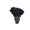 mushroom-blacktrumpet-harvested