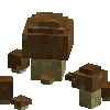 mushroom-bolete-normal-snow