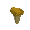 mushroom-chanterelle-normal