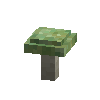 mushroom-greencrackedrussula-harvested